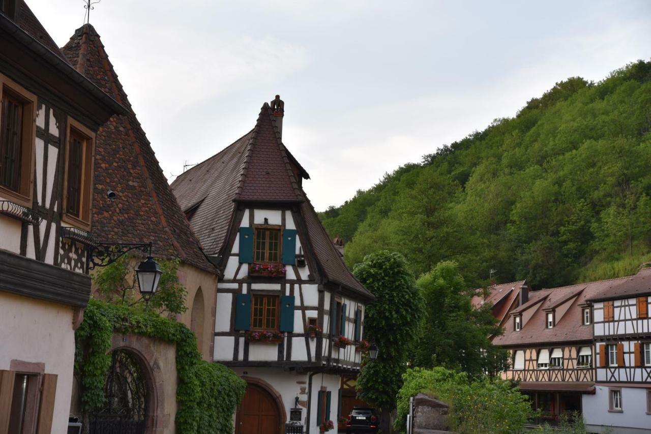 Le Cerisier Vila Kaysersberg-Vignoble Exterior foto