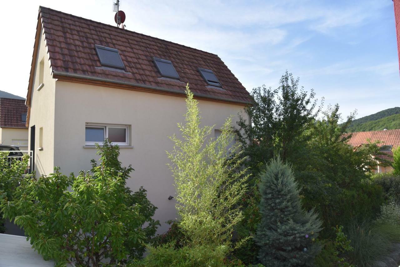 Le Cerisier Vila Kaysersberg-Vignoble Exterior foto