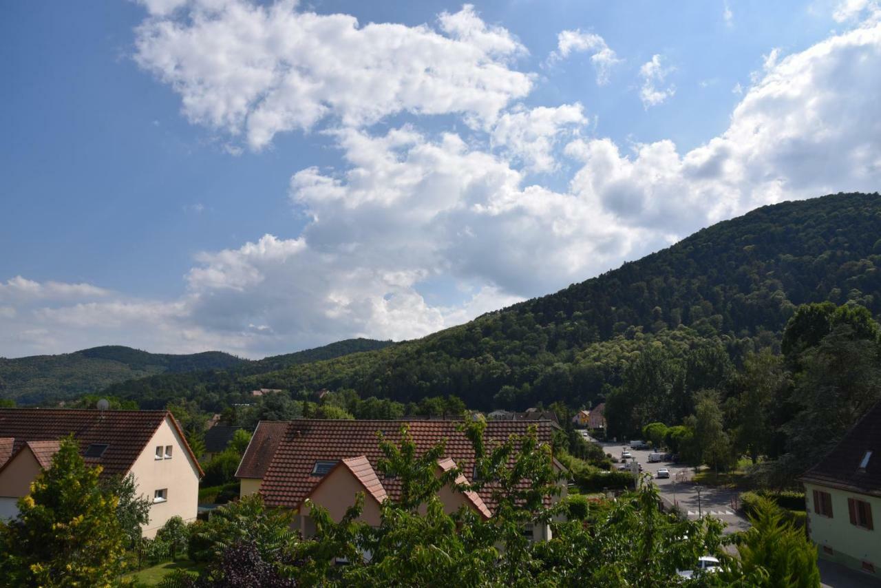 Le Cerisier Vila Kaysersberg-Vignoble Exterior foto