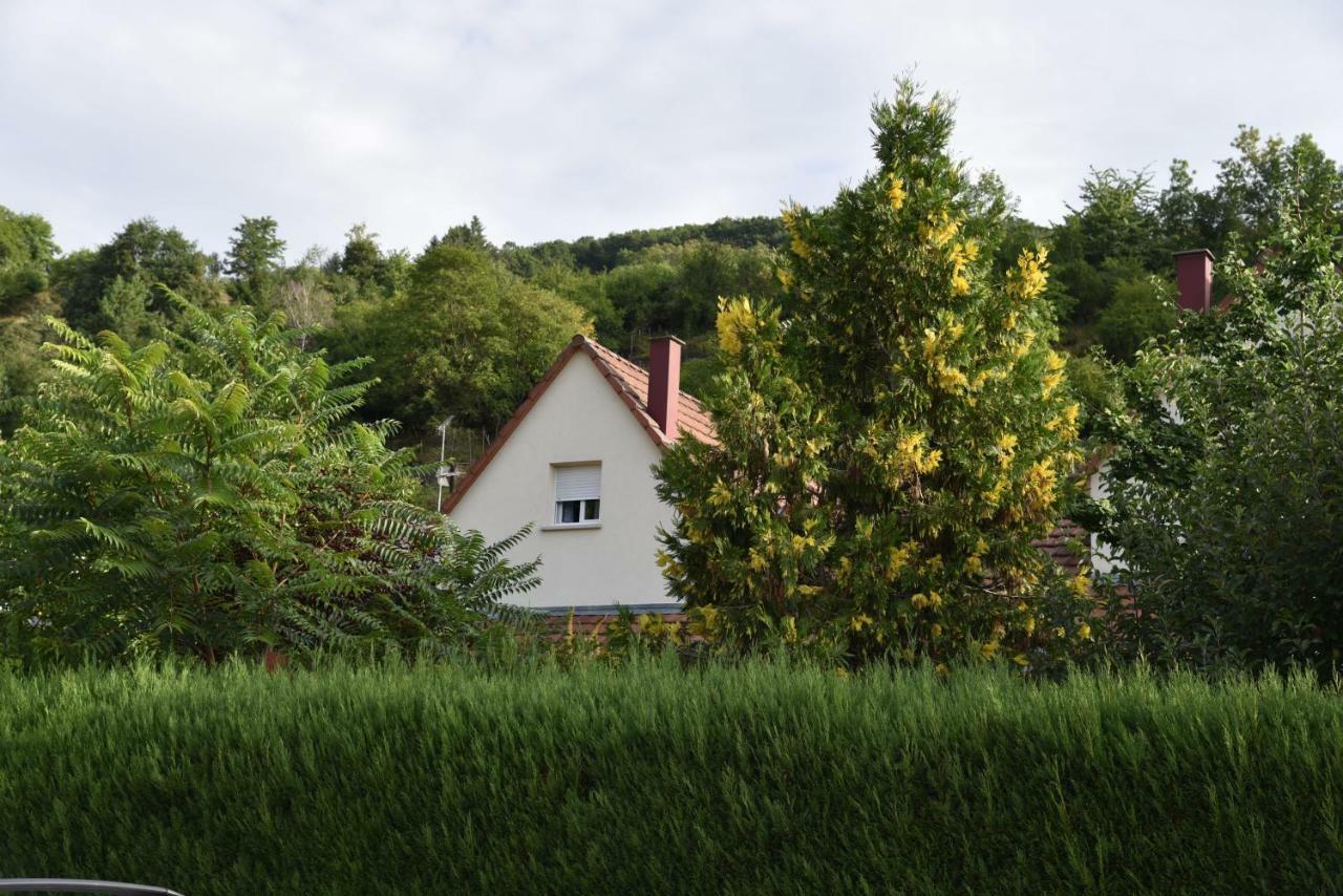 Le Cerisier Vila Kaysersberg-Vignoble Exterior foto